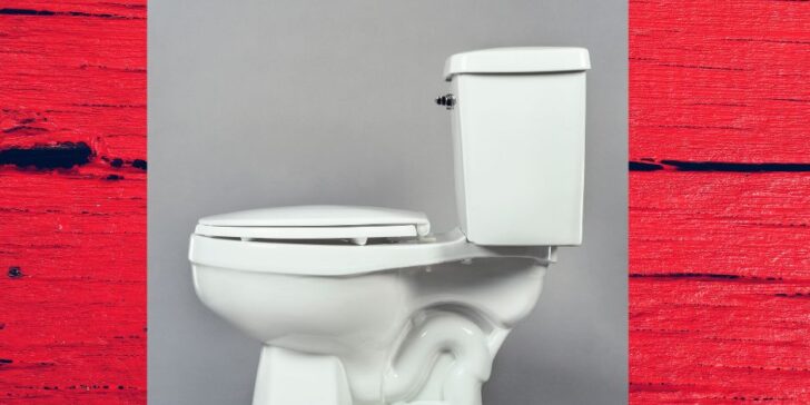 repairreplace toilet (1)