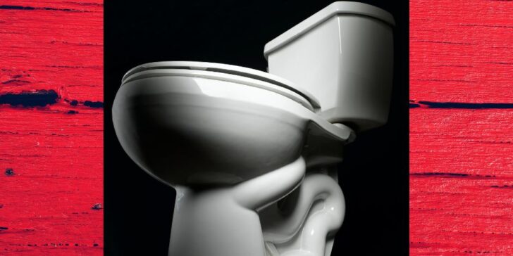 shaky toilet (1)